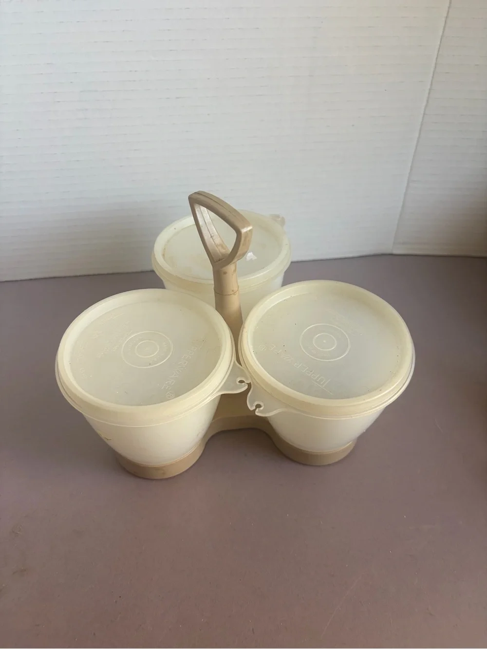 Vintage Tupperware Condiment or Snack Organizer with Handle